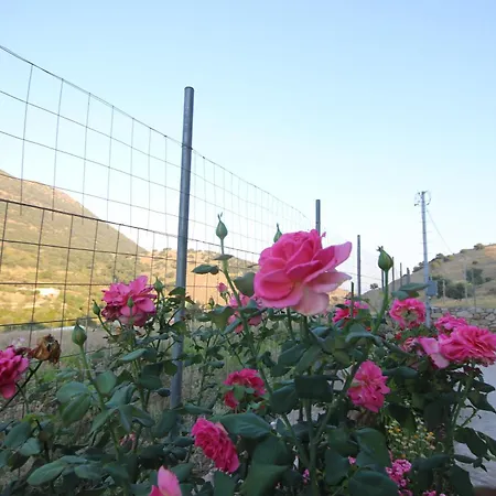Bujtina Eleni 3* Himarë